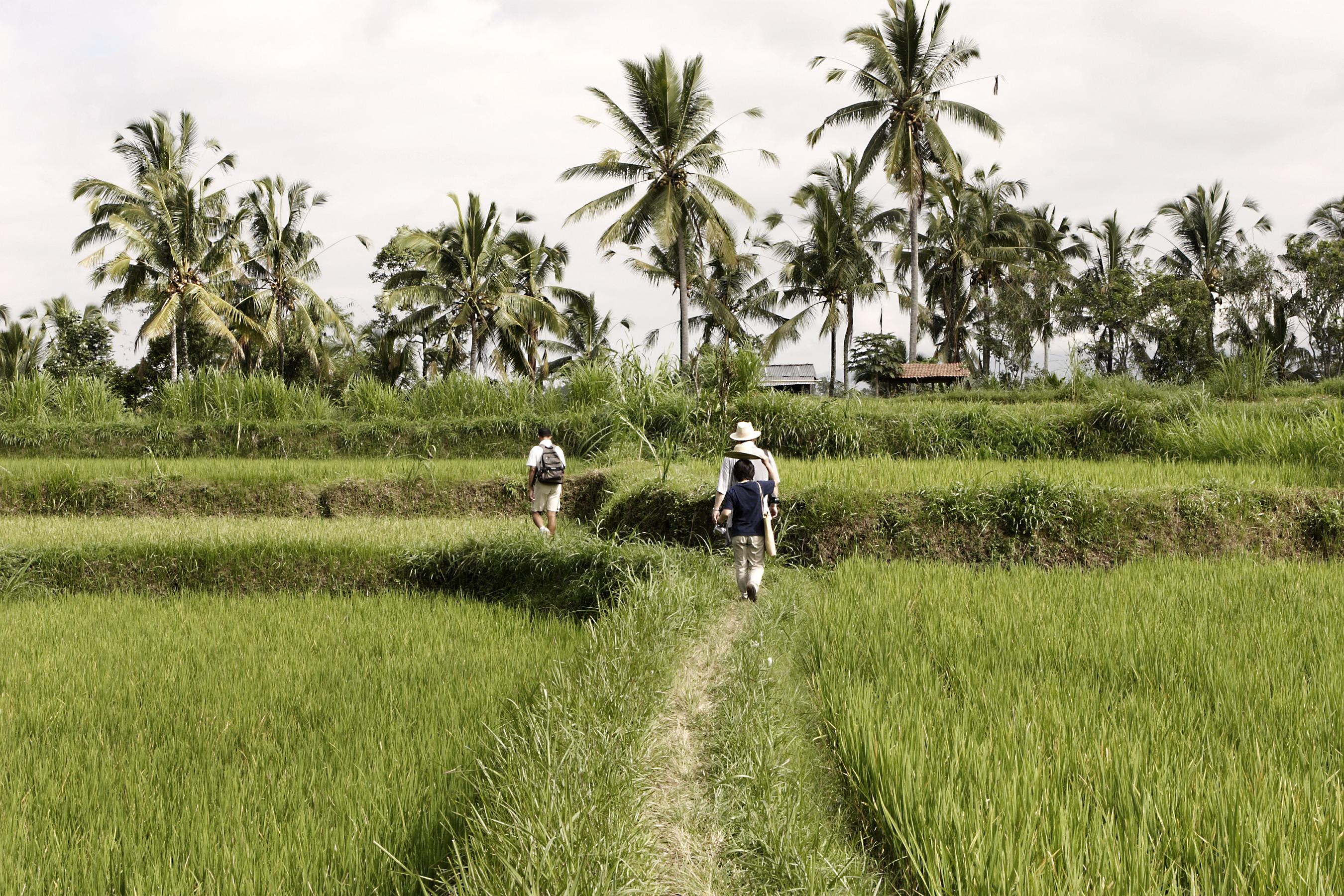 Hanging Gardens Of Bali 乌布 外观 照片